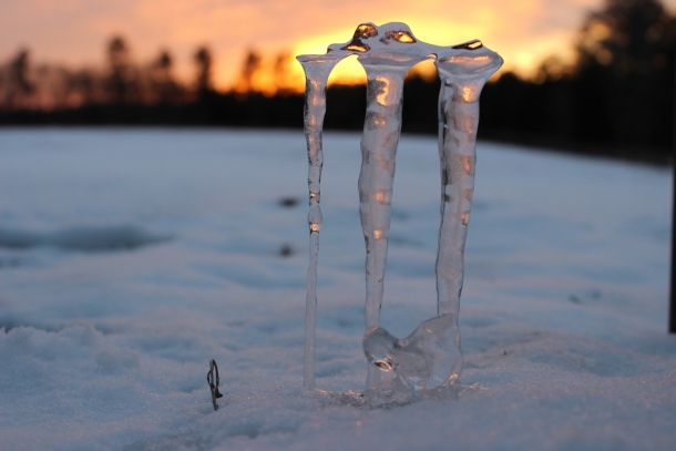 Ice structures