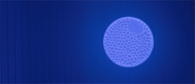 Bubbles in a Petri Dish: This is an image of a layer of UV-light exposed fluorescent foam bubbles in a petri dish, squeezed between a liquid and the confining lid. Such monolayers of bubbles are used as a model system to study the intricate and poorly understood mechanical behavior of disordered systems like sand, mayonnaise and, yes, shaving foam. This image is one of the first proof-of-principles that shows that a fluorescent dye in the fluid can greatly facilitate recognizing the foam bubbles, which in these studies is an essential yet otherwise strenuous task.