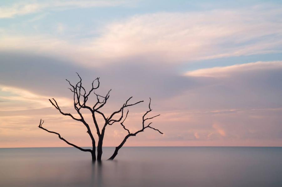 Ian Turnage-Butterbaugh – His image, taken using a 210 -second exposure and neutral density filter, captures a placid ocean at Botany Bay Beach, S.C. Ian is a member of the Professional Master's Program staff in the Duke University Pratt School of Engineering.